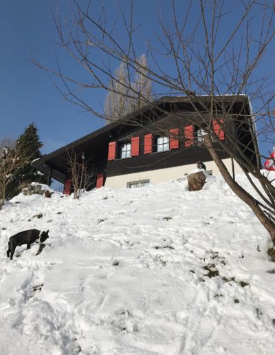 Hundepension Haus mit Schnee bedeckt